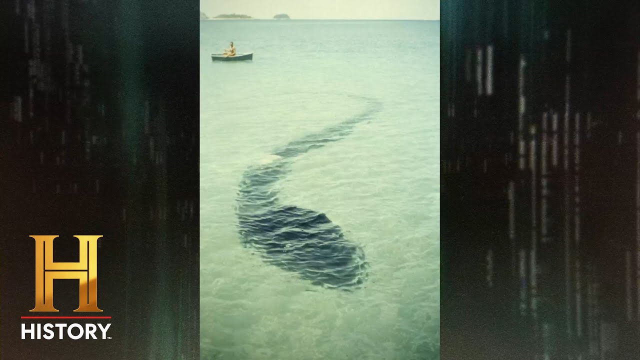 The Proof is Out There: HUGE Australian Lake Monster Spotted by Family (S3) | History