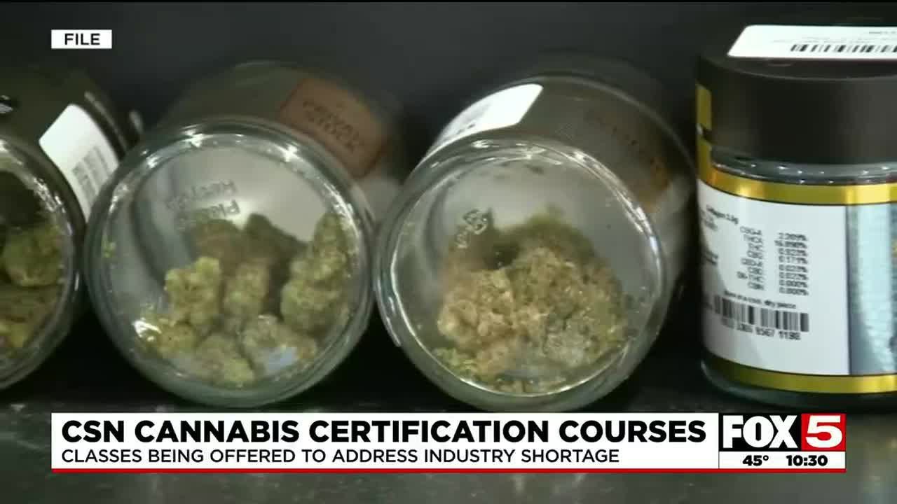College of Southern Nevada now offering cannabis-related certificate programs