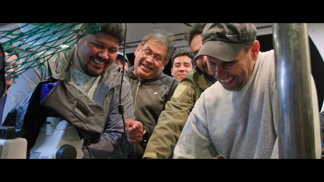 Expedici&oacute;n cient&iacute;fica al Parque Nacional Revillagigedo (Documental) | Conanp