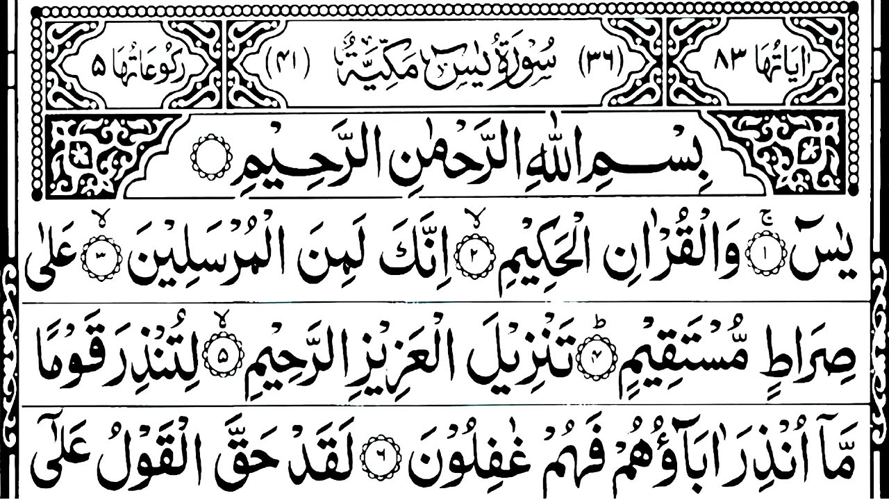 Surah Yaseen | Surah Rahman | Surah Waqi'ah | Surah Mulk | Best Quran Recitation| NobleQuranHD Ep150