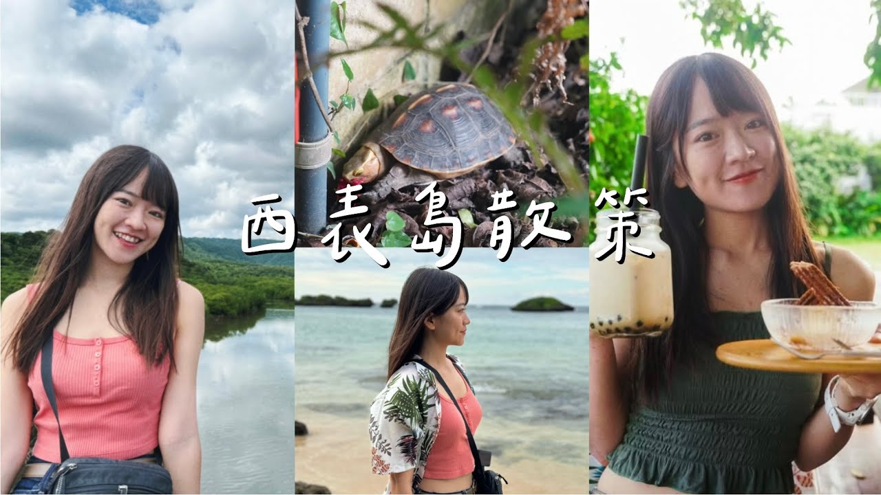🇯🇵西表島野營日記！在世界自然遺產的小島開車，遇上野生動物是日常？！