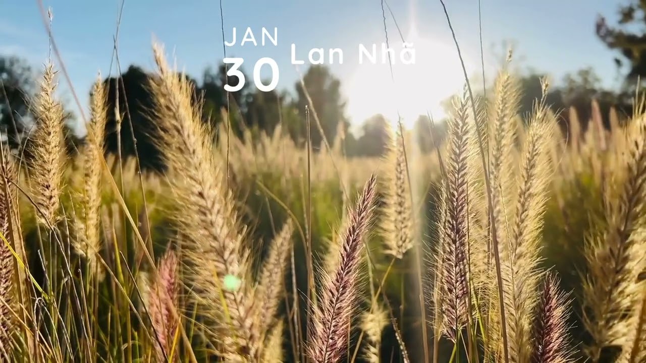 Rượu Sầu Nhân Thế (Thói đời)