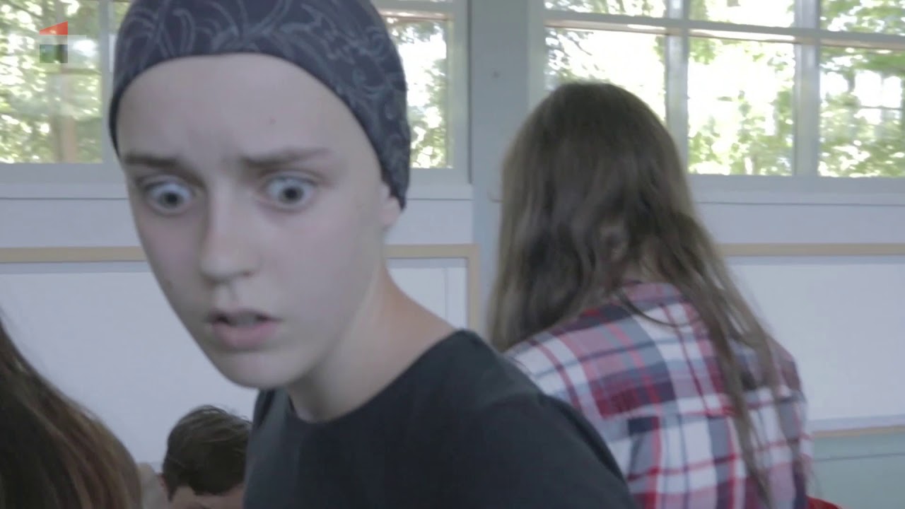 Mannequin Challenge Whole School: THG Göttingen (nur über PC abspielbar)