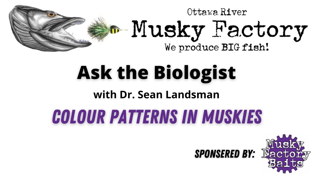 Musky Monday Seminar Series, Ask the Biologist: Colour Patterns in Muskies