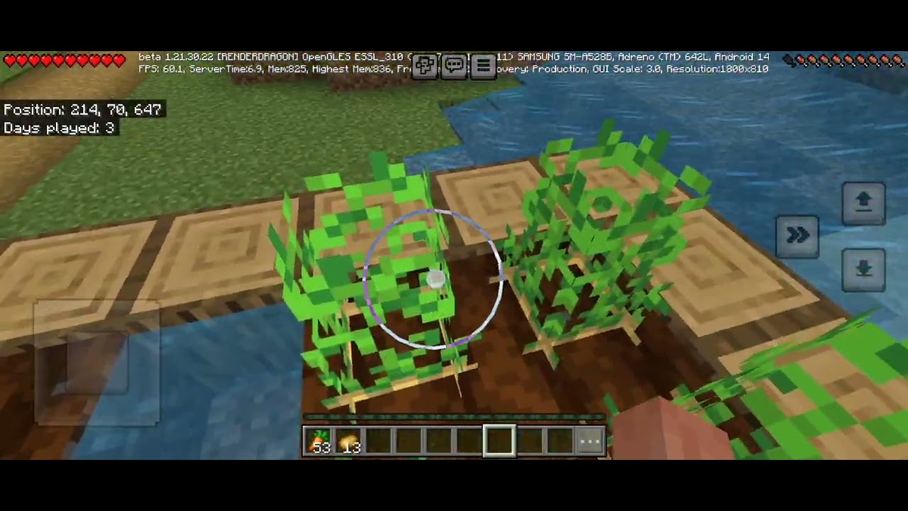 Minecraft gameplay of random seed