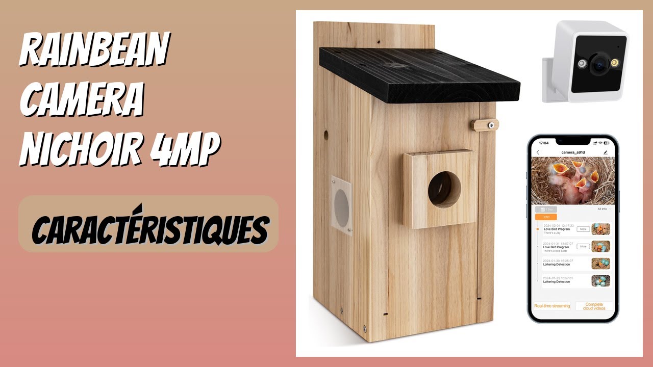 AVIS (2026) : RAINBEAN Camera Nichoir 4MP. DÉTAILS