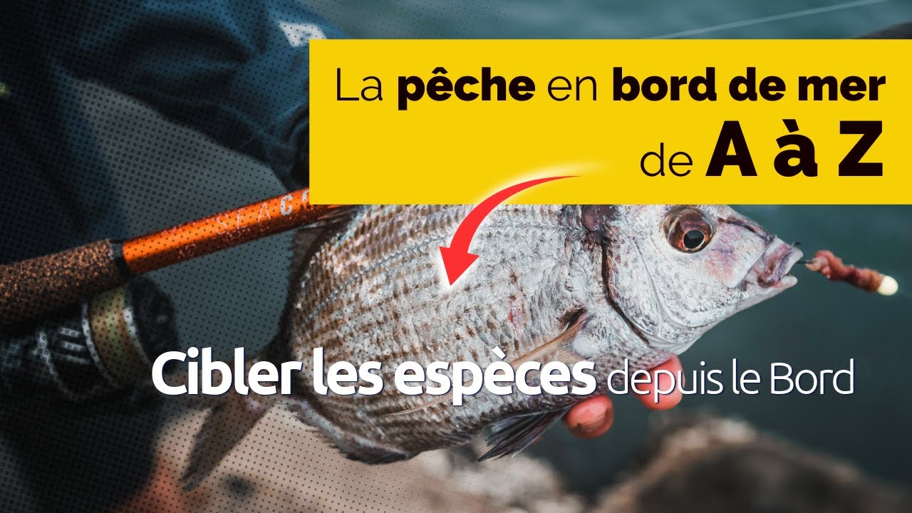 P&ecirc;che en mer de A &agrave; Z - 7 (Quelles techniques pour cibler chaque poisson ?)