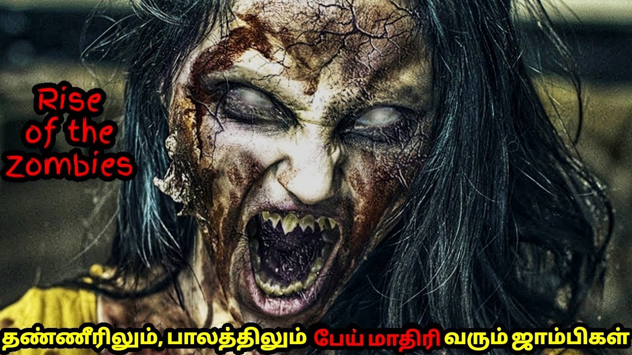 தீவிலும் வரும், கடலிலும் துரத்தும் | Tamil Voice Over | Mr Tamizhan | Movie Story & Review in Tamil