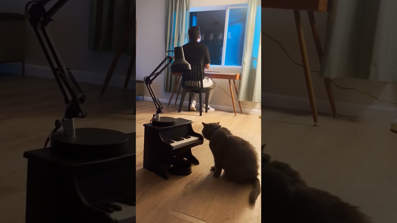 what song should I teach him next? 
