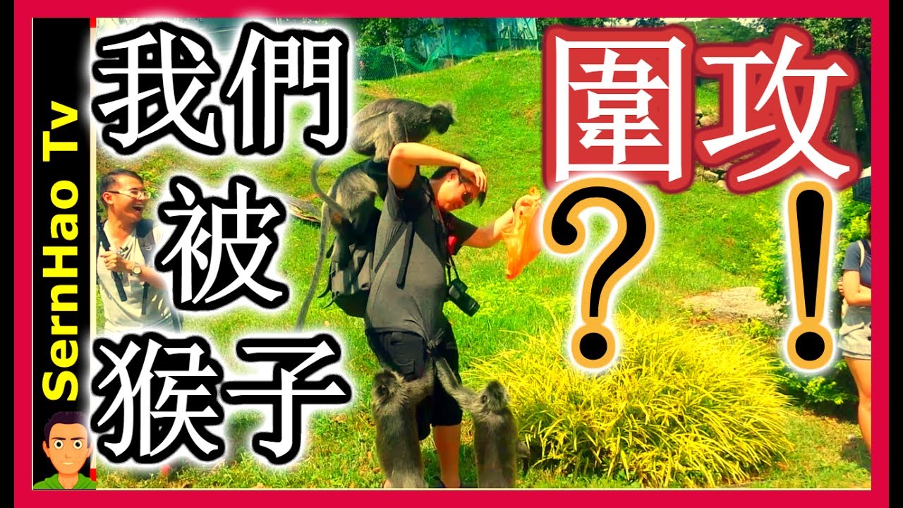 【馬來西亞-旅遊景點#4】Youtuber到适耕庄sekinchan|SernHao Tv ft:Yooyo，迅雷進，老陈，冏凹兒，Rebecca，Chris，Skylai，Coey等-Part1
