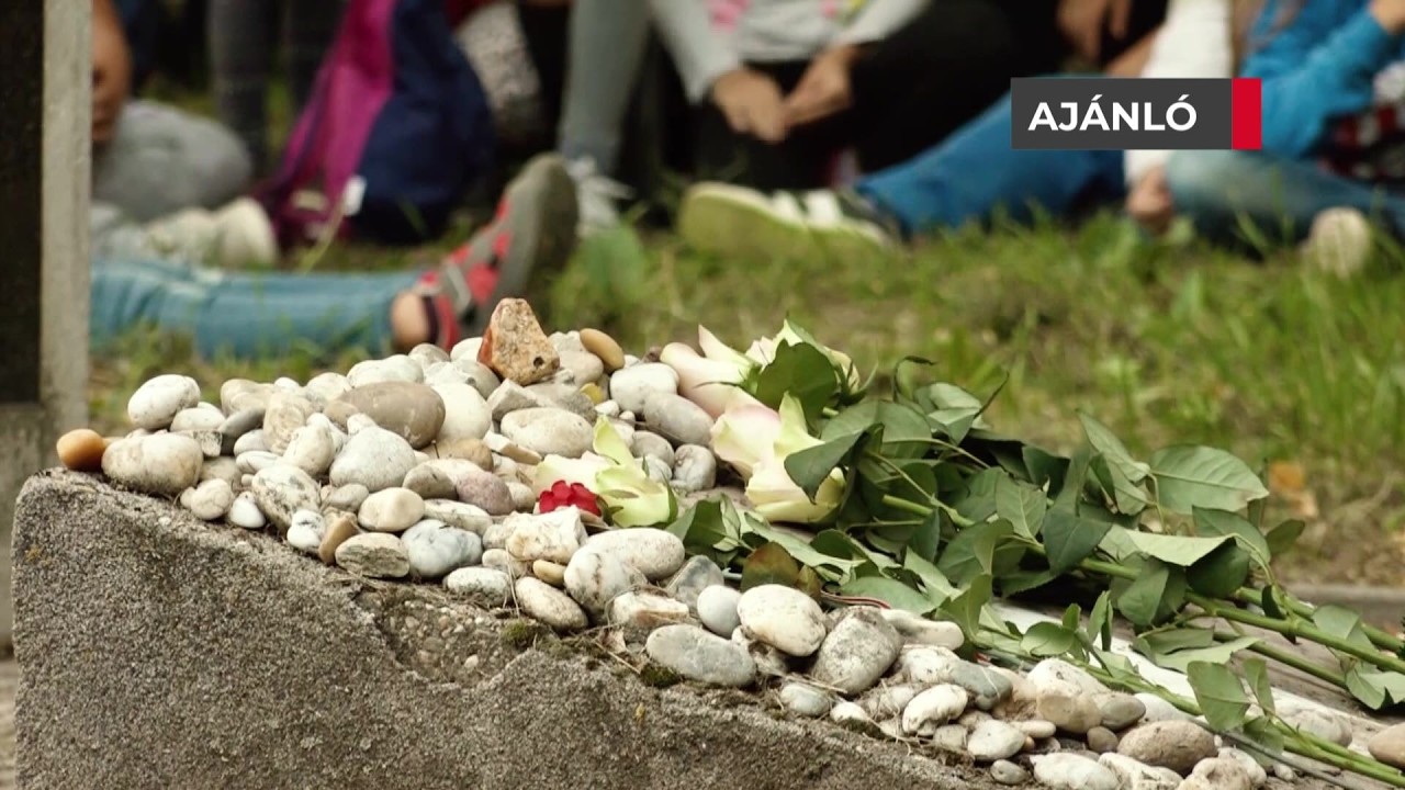 Aj&aacute;nl&oacute; &ndash; Radn&oacute;ti nyom&aacute;ban &ndash; 2026.04.05. 20.45h