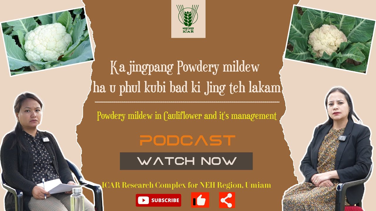EP- 17|| Podcast on 