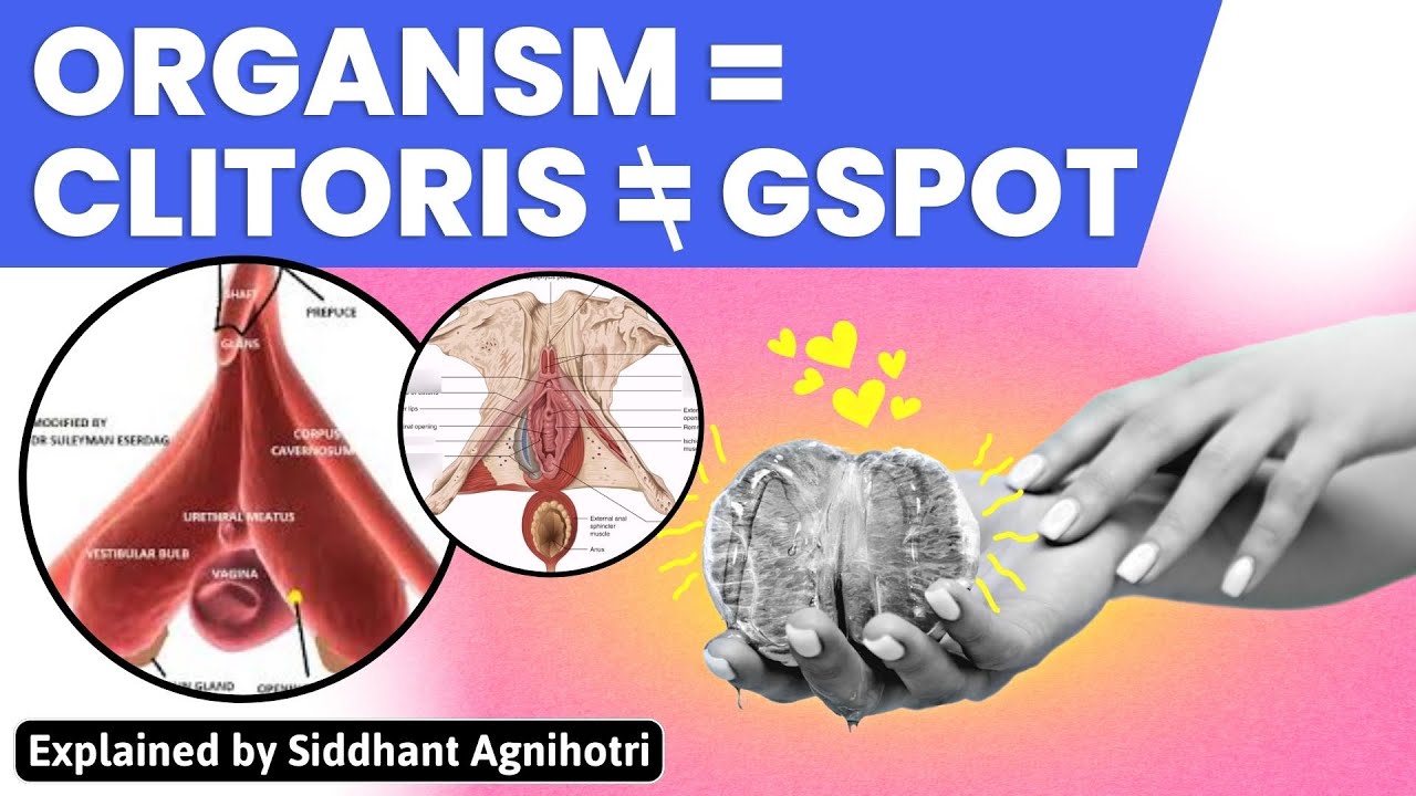 Does Gspot exist? All about clitoris | Lecture 6