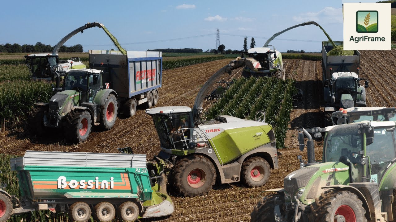 Insilato mais team Tosone Flaibano 2025