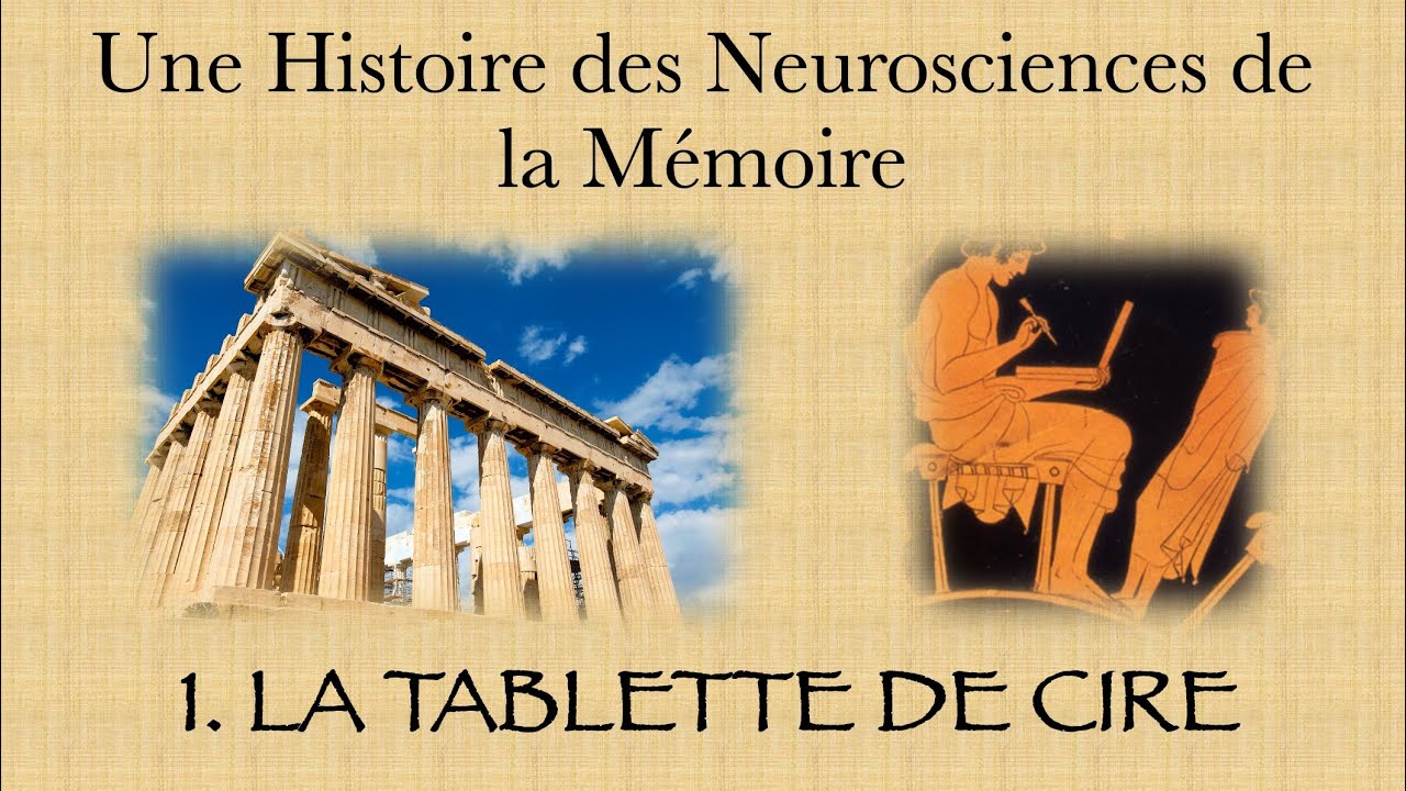 Une histoire des neurosciences de la m&eacute;moire - partie 1 