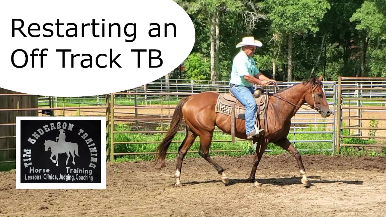 Restarting an Off Track TB. 2nd Ride.