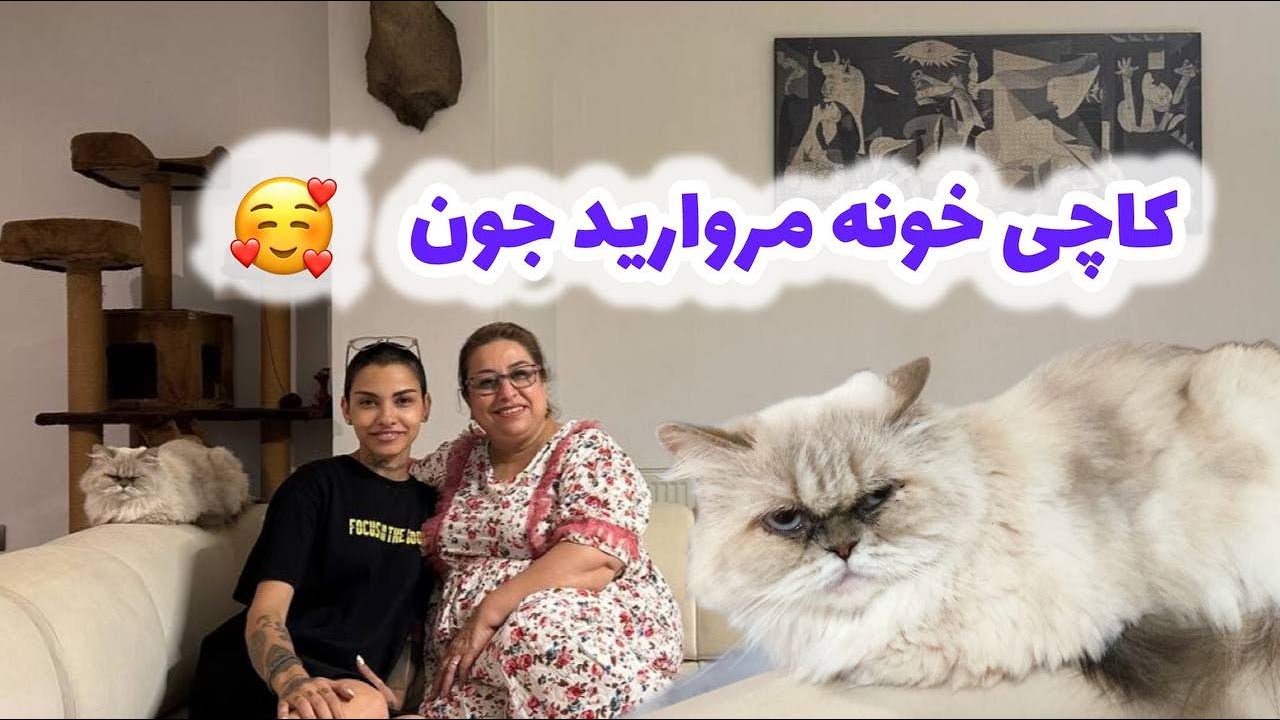 ولاگ مهمانی خونه مروارید جون با نمایش تابلوهای زیبا و پخت کاچی خوشمزه 😋