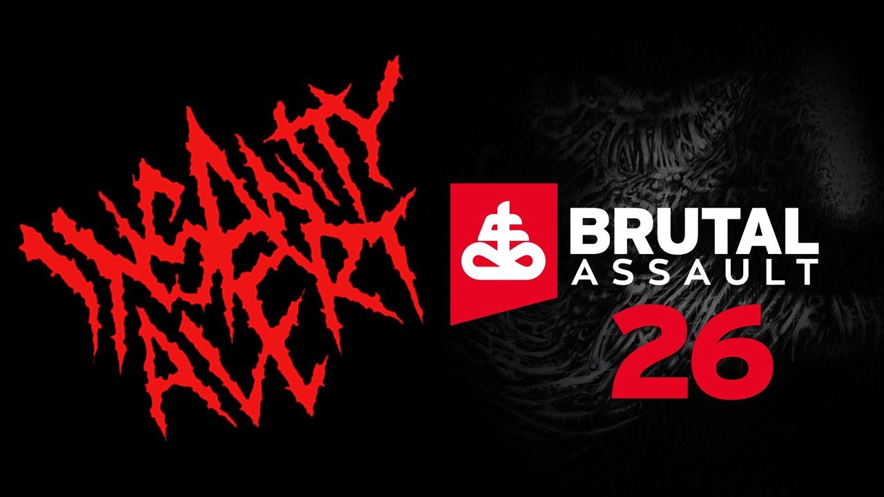 Insanity Alert - Brutal Assault Festival 2023 *FLASHBACK* #metal #thrash