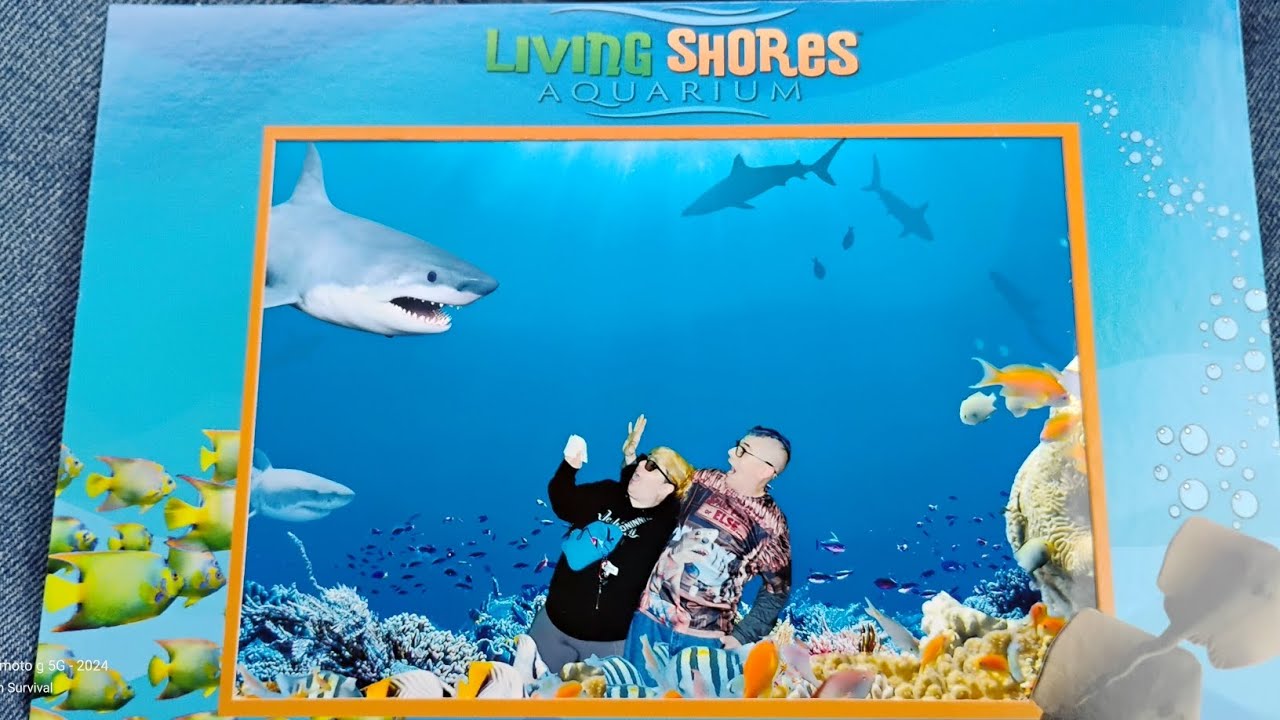 LIVING Shores Aquarium Glen NH