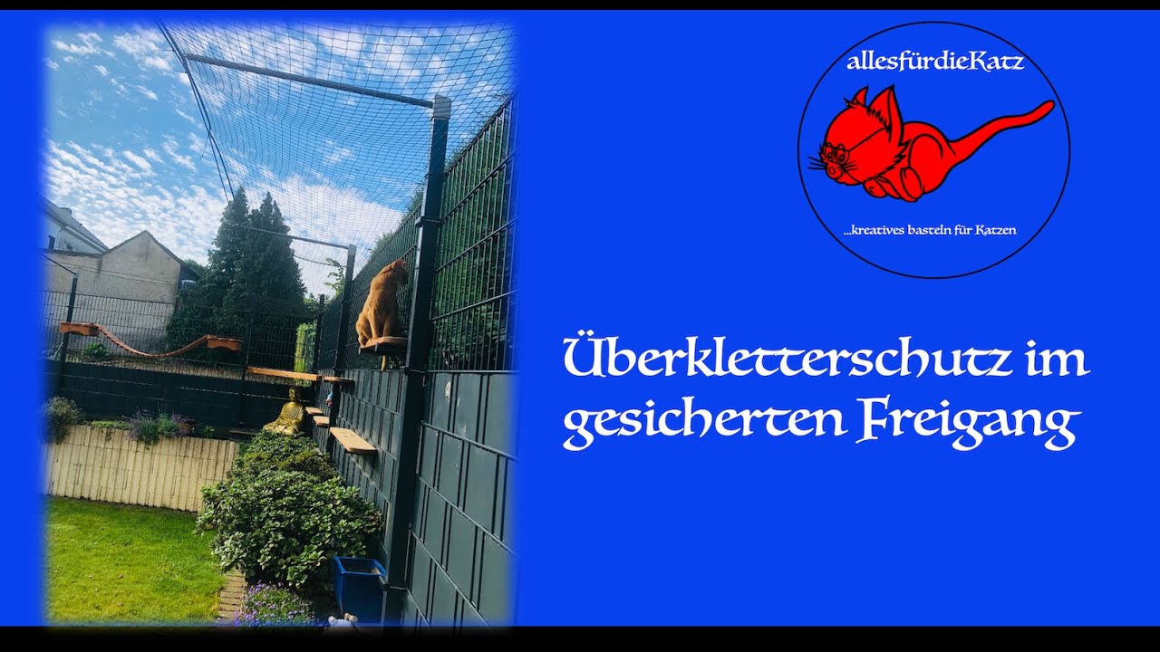 Überkletterschutz im gesicherten Katzen-Garten