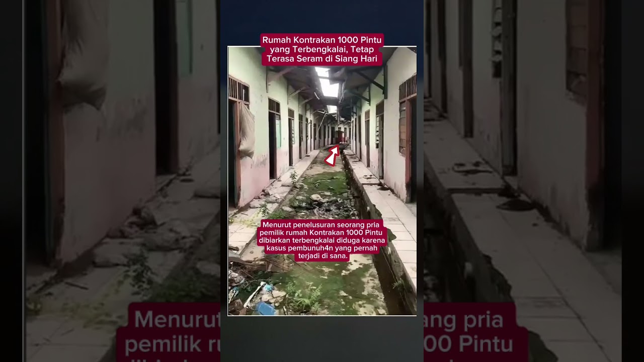 Rumah Kontrakan 1000 Pintu yang Terbengkalai, Tetap Terasa Seram di Siang Hari #rumah #viralvideo