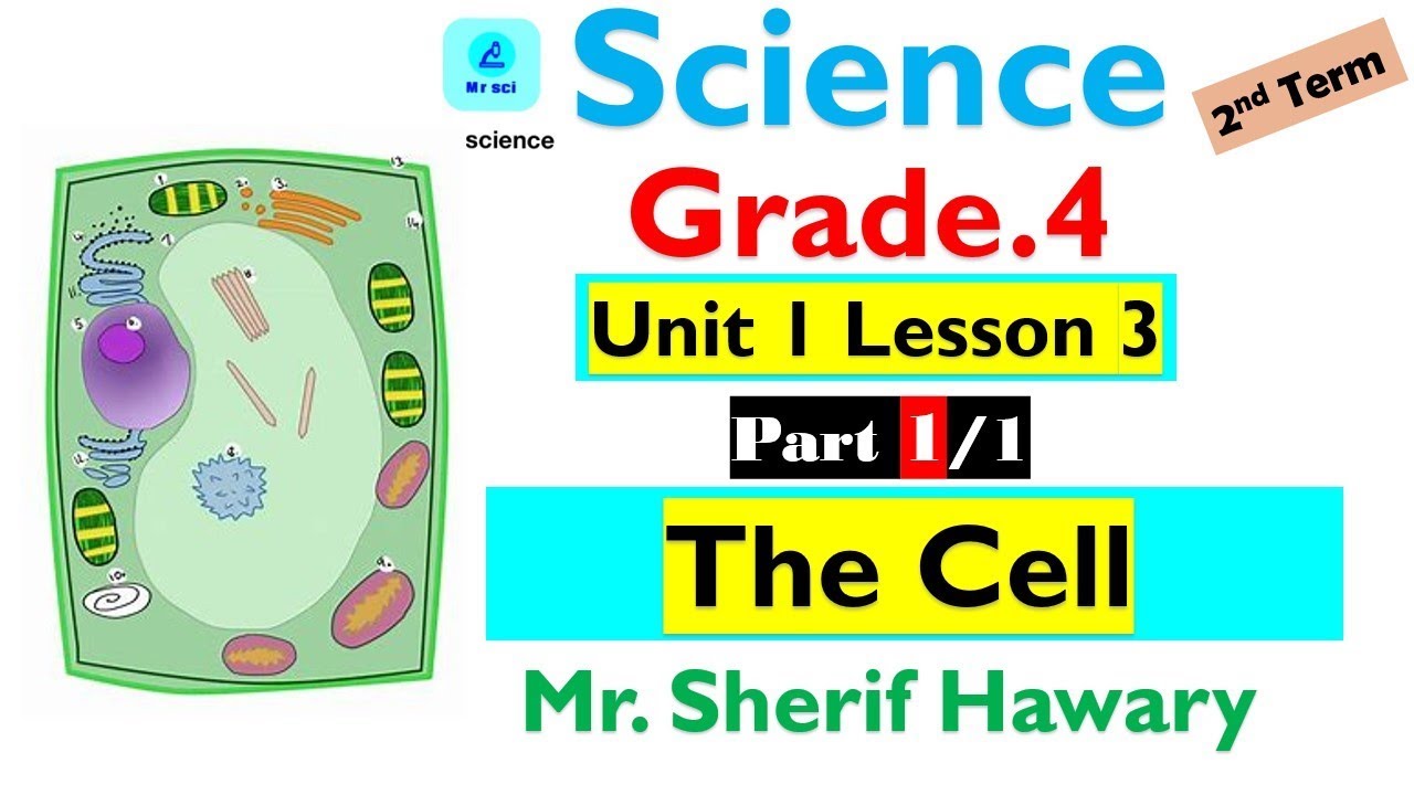 Science |pr.4| Unit 1 Lesson 3 | The Cell | Part 1/1 | 2nd Term