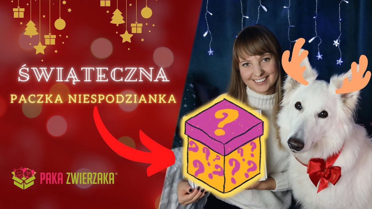 Świąteczna paczka dla psa od Paka Zwierzaka - UNBOXING | Prezent dla psa