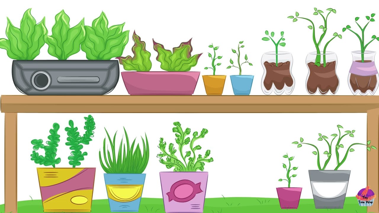 Discover The Wonderful World Of Flower Names 🌸 | 🌼 Fun & Educational For Kids 💐🌻!