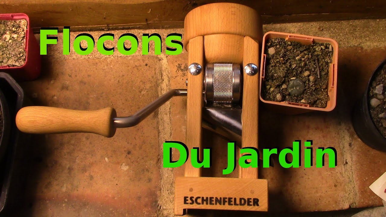 Floconneuse Eschenfelder et avoine nue