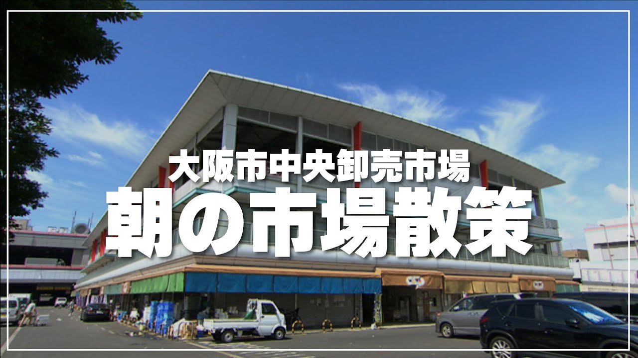 【大阪篇】朝の中央卸売市場を散策＆グルメ