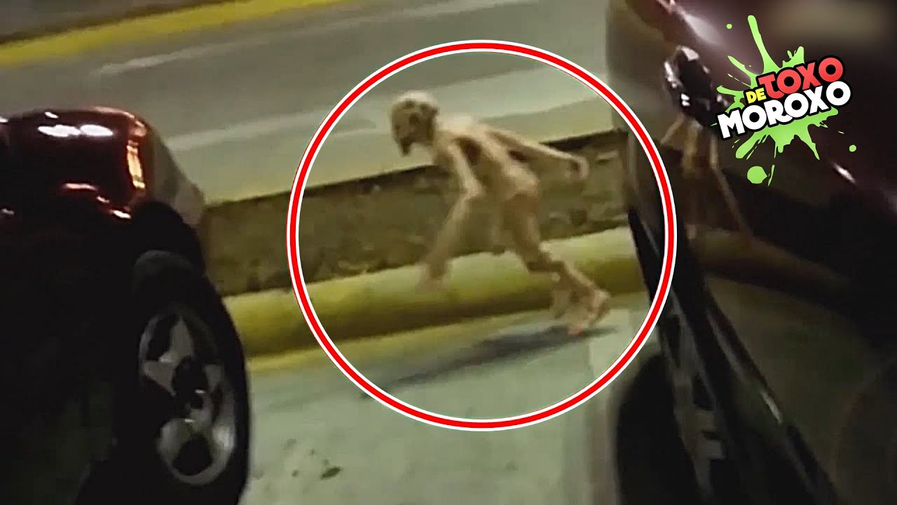 Duendes Reales que Fueron Captados en Video | Listas DeToxoMoroxo