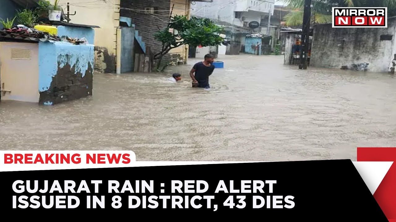 Gujarat Rain Update : Red Alert Issued In 8 District | Navsari Highly Impacted | 43 Dies