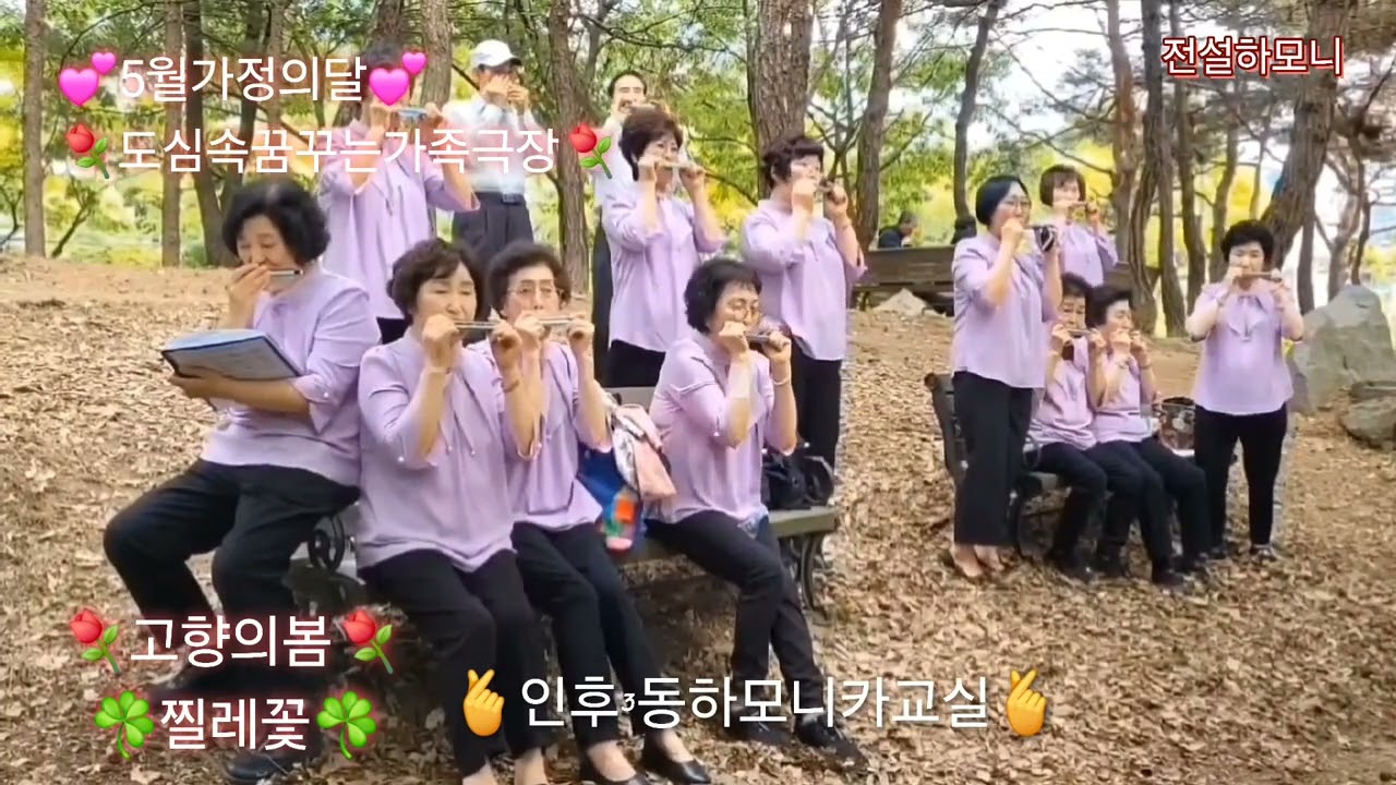 [고향의봄🌱찔레꽃]        인후3동하모니카교실