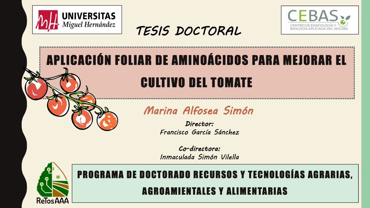 Marina Alfose. Aplicación foliar de aminoácidos para mejorar el cultivo del tomate