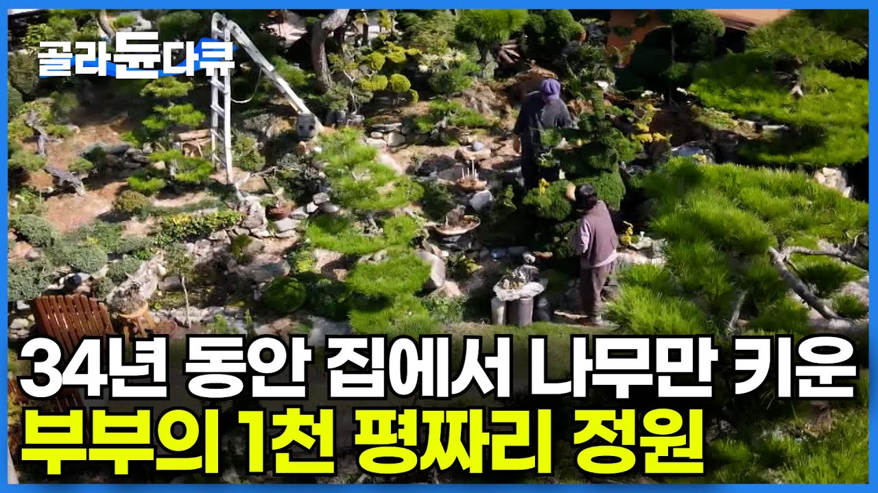 어쩌다 보니 나무만 500여 종 세상에서 가장 아름다운 개인 정원ㅣ어릴 적 꿈이었던 정원 만들기는 성인이 되어 이렇게 됐다ㅣ한국기행│#골라듄다큐