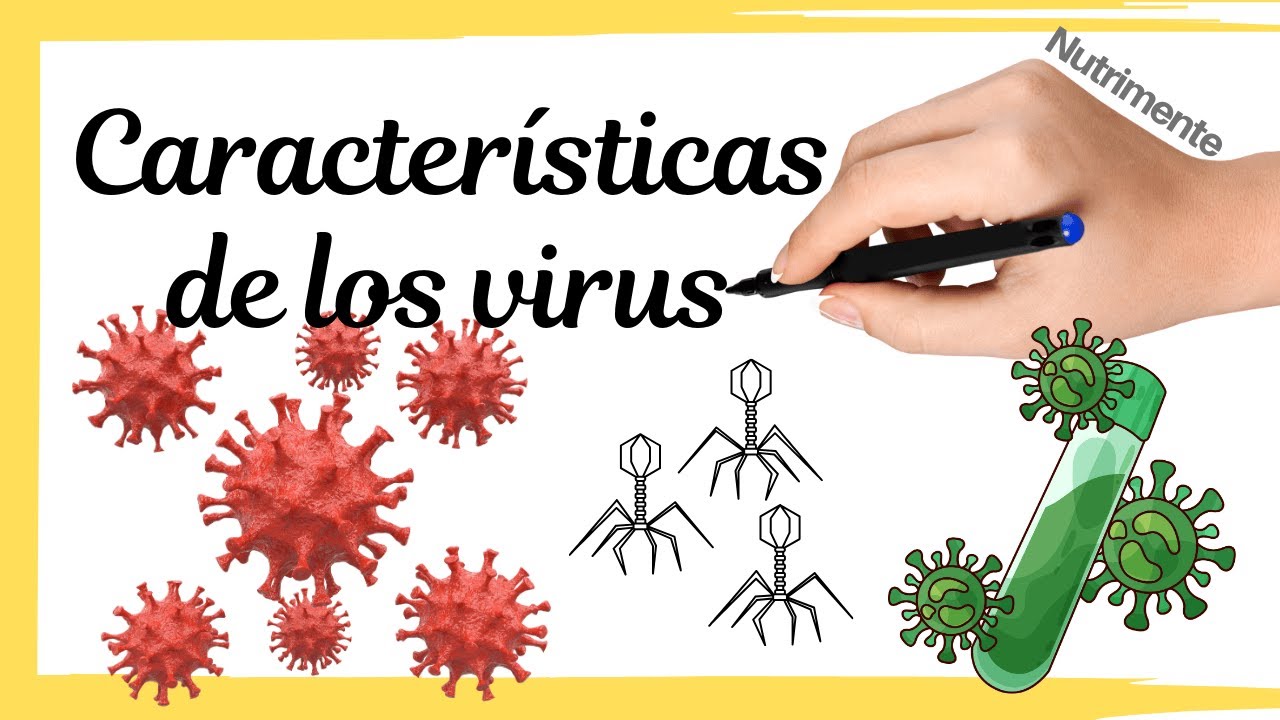 Naturaleza de los VIRUS | Características principales