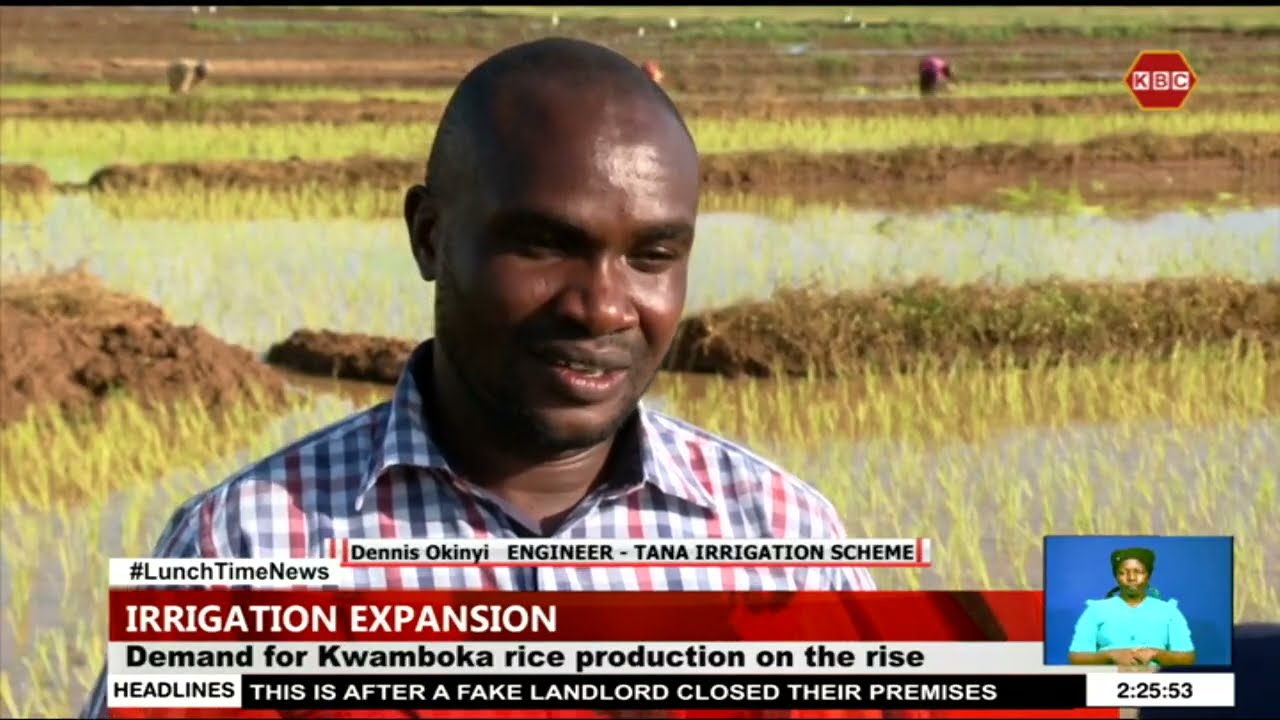 Plans underway to expand the Tana Irrigation Scheme in Hola