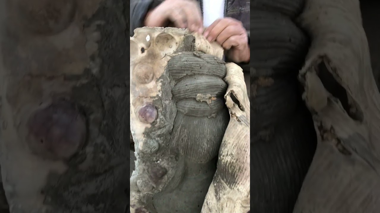 Artesan&iacute;as de cement&oacute; #aiklica #shortvideo #mexico