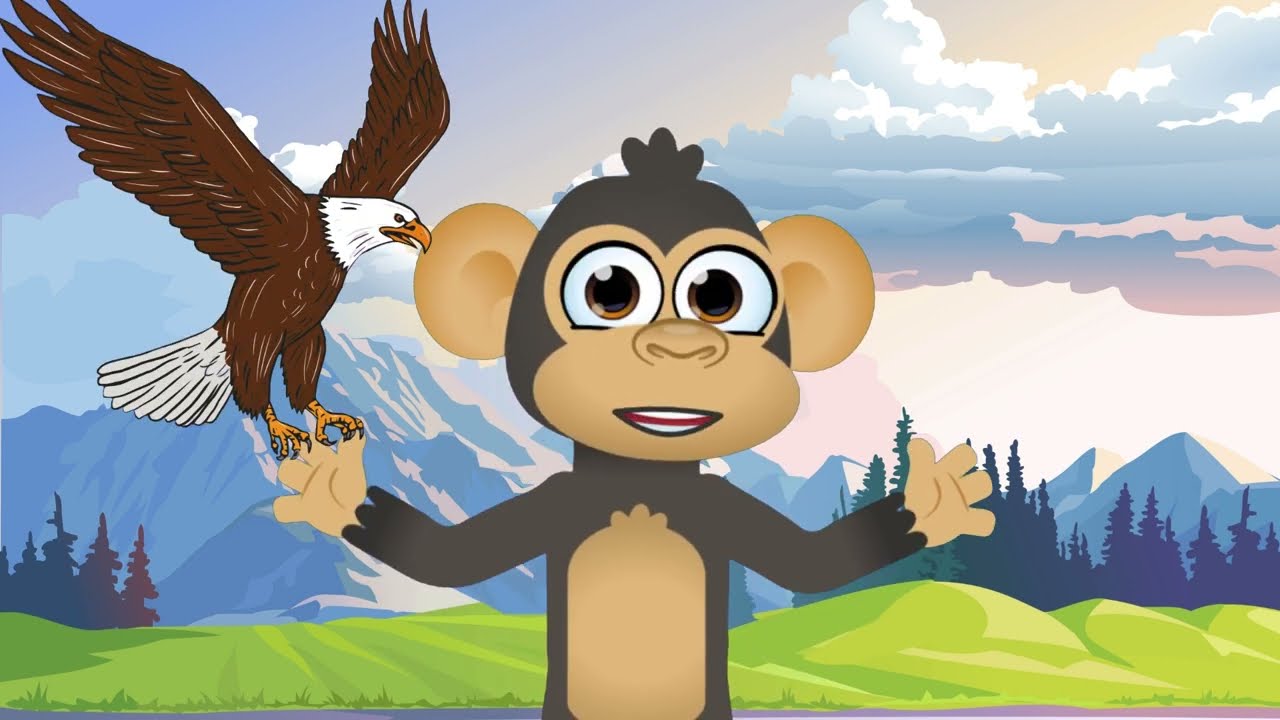 Rocky Mountain Wonders Animal Adventures for Kids