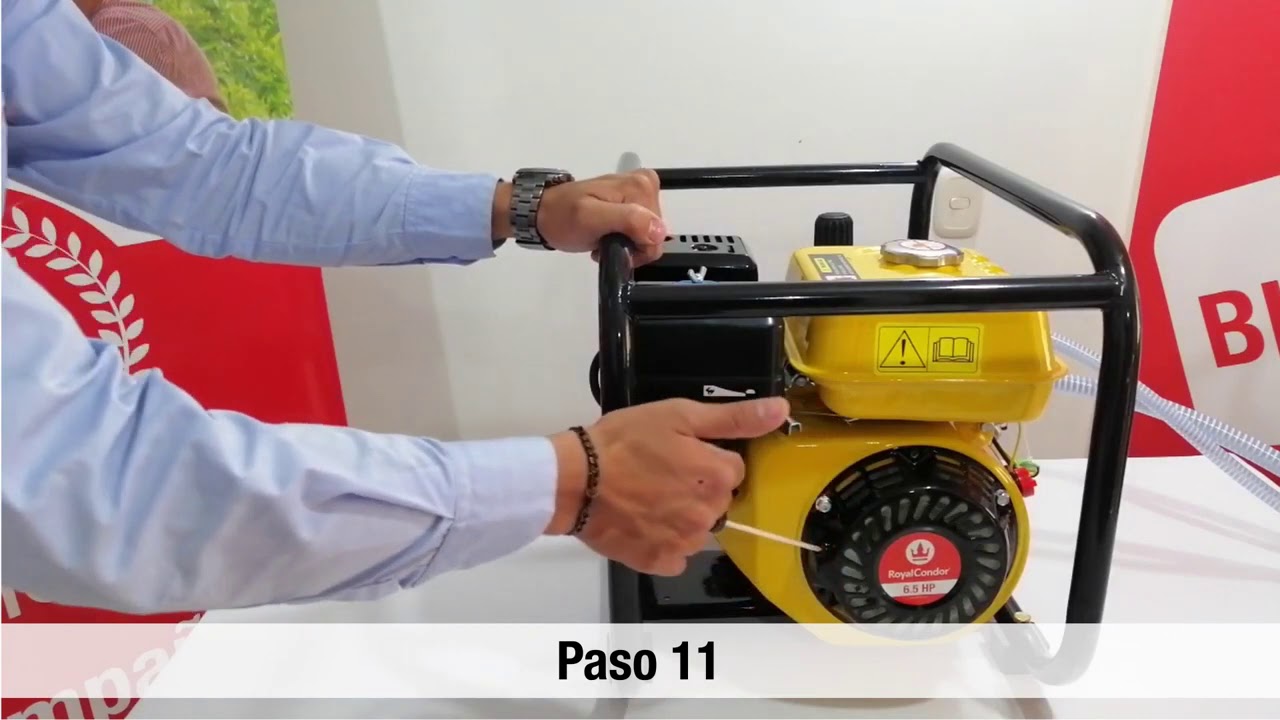 Estacionaria de Transmisión Directa RoyalCondor® - Protocolo de Entrega