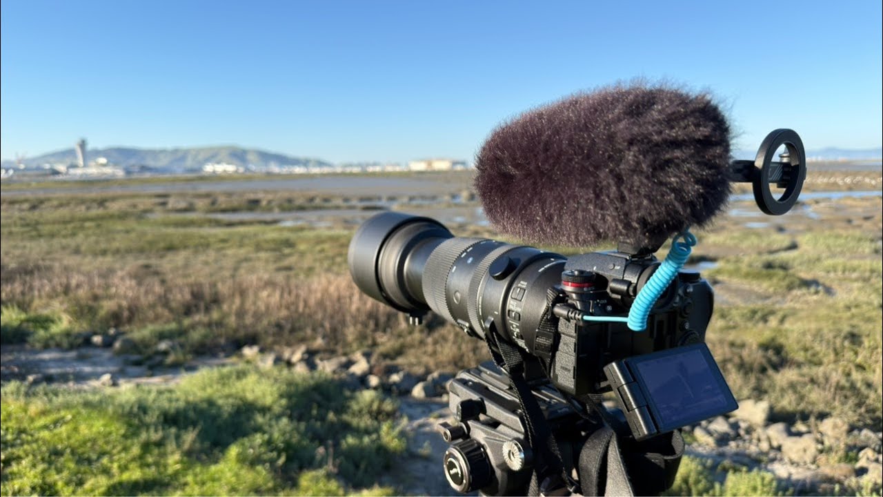 LIVE SFO - San Francisco Airport Plane Spotting Stream