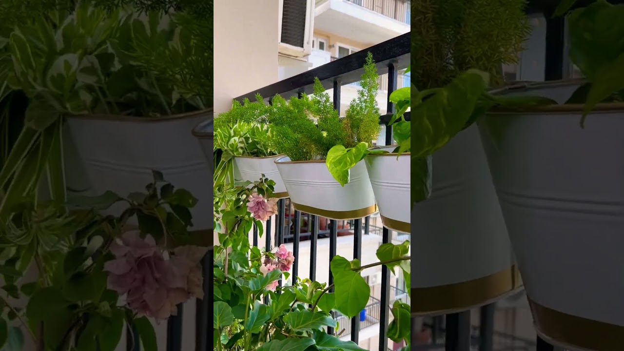 Railing planters from @wallmantra_official #shortsfeed