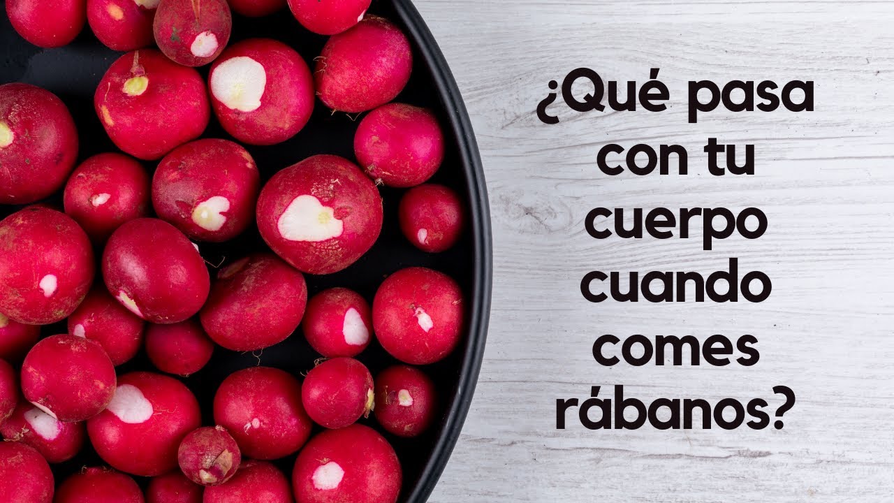 R&aacute;bano y sus extraordinarias propiedades