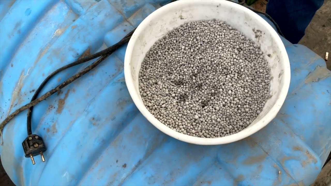 Qulupnay biznesini o'rganamiz.Janubiy Koreyaning Solhyang navli qulupnay ko'chatlarini ekish 2-video