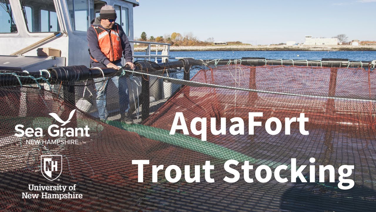 A Day in the Life: Re-Stocking AquaFort