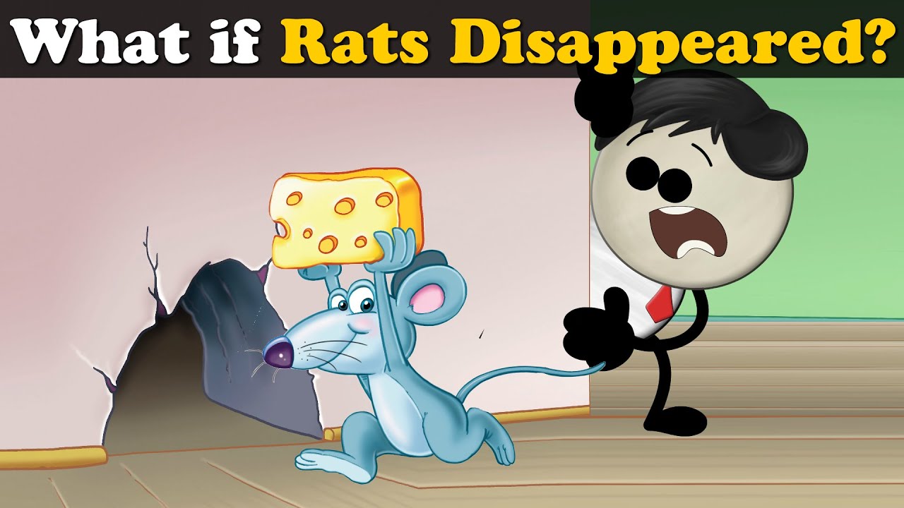 What If Rats Vanished? + more videos | #aumsum #kids #science #education #children