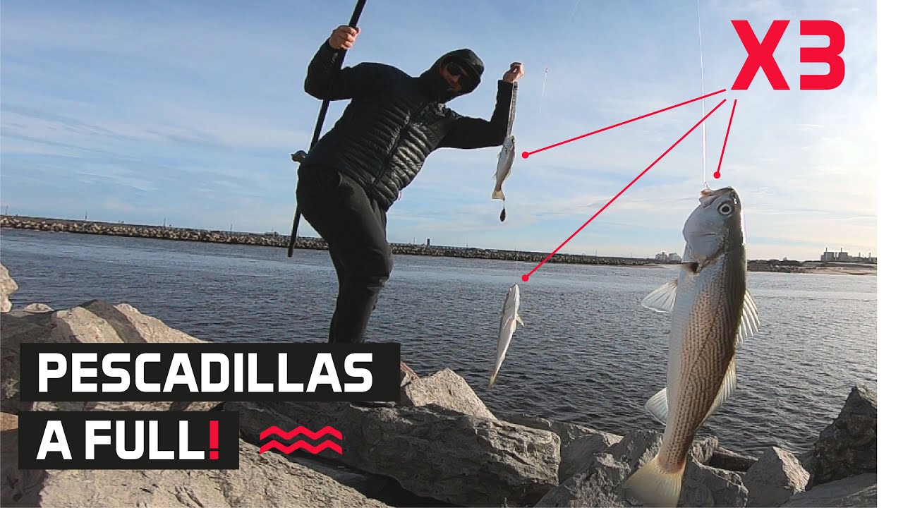 𝙋𝙀𝙎𝘾𝘼𝘿𝙄𝙇𝙇𝘼𝙎! siguen a full! #pesca #surfcasting #fishing Hora de pesca. #pescaviajera