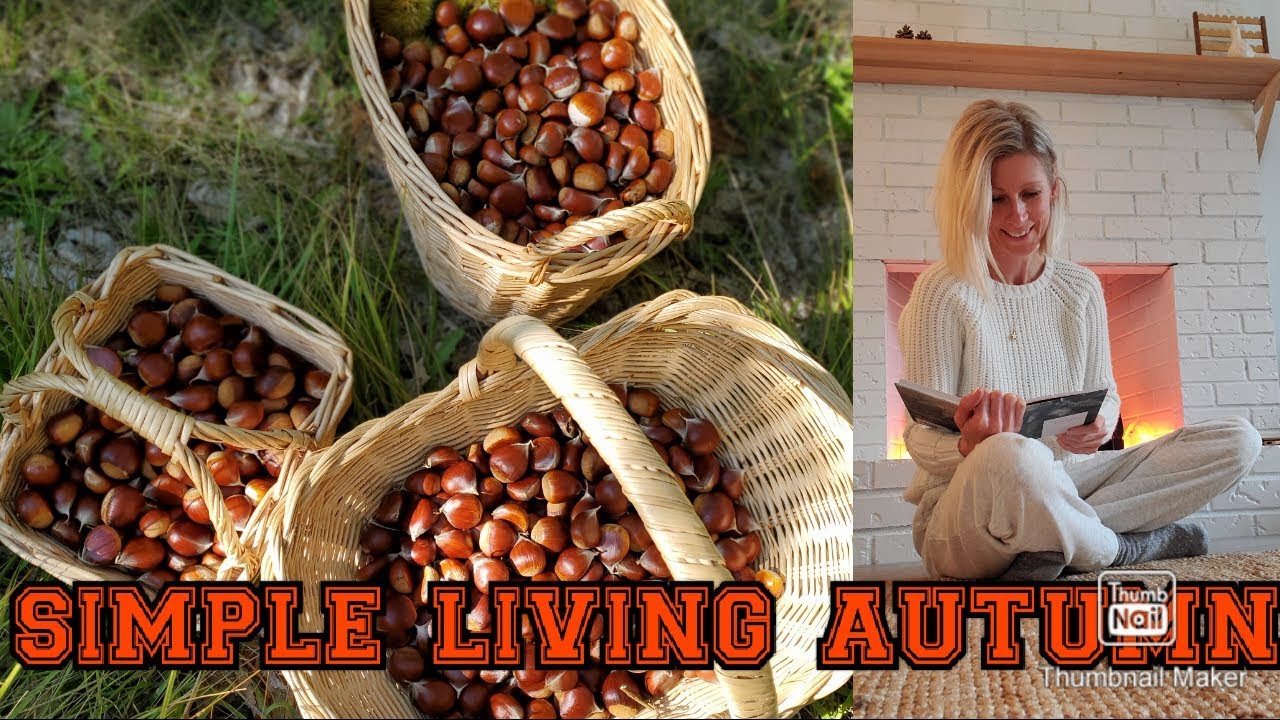 SIMPLE LIVING IN THE FALL minimalism DAY IN THE FALL