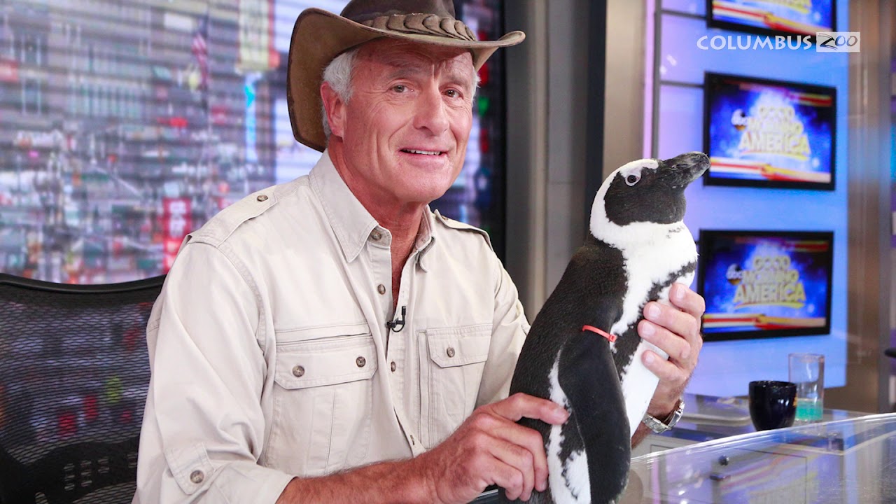 Jack Hanna’s Top 10 Moments, Columbus Zoo and Aquarium