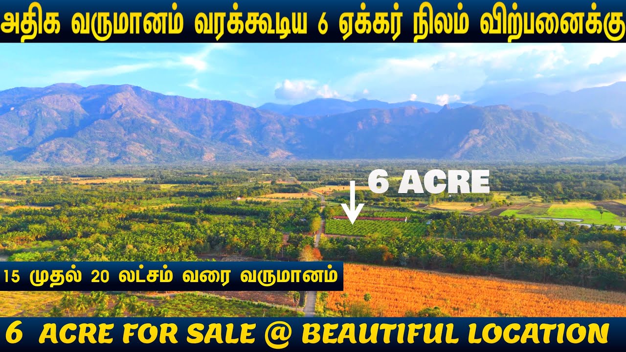 💸15 to 20 லட்சம் வருமானம் வரக்கூடிய🌴6 ஏக்கர் விற்பனைக்கு | 6🌴ACRE FOR SALE #beautiful #property